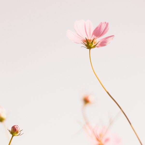 Yoga: Ein Tanz mit dem eigenen Körper und der Seele